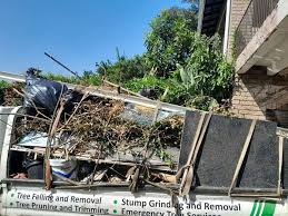 Professional Junk Removal in Archbold, OH